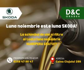 Noiembrie este luna SKODA la D&C Oradea, unde la schimbul de ulei și filtre ai MANOPERA GRATUITĂ!