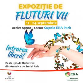 Super-expoziția de fluturi tropicali vii revine la ERA Park Oradea!