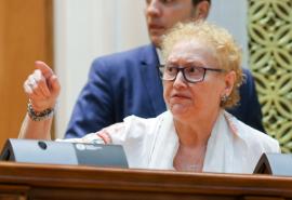 Avocatul Poporului, despre azilul ilegal de la Dumbrava: „Autoritățile statului au fost complice. Era ca o colonie”