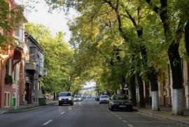 Nu (ne) demolați! Primăria Oradea, dată în judecată pentru intenția de lărgire la 4 benzi a întregii străzi Tudor Vladimirescu