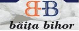 Anunț de angajare SC Băița Bihor SA