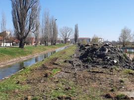Ne enervează: Zeci de anvelope, aruncate de orădeni în pârâul Peţa (FOTO)
