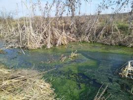 Un partid din România cere intervenția Ungariei în cazul apelor murdare deversate în râurile Ier și Barcău, în Bihor (DOCUMENT)