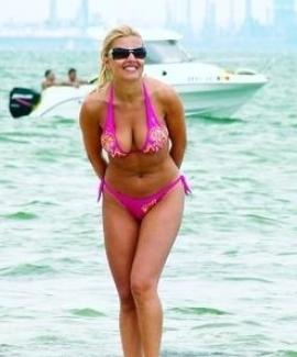 Elena Udrea, ţinta unui obsedat anonim