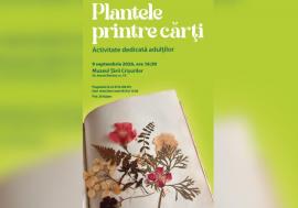 Plante presate, transformate în semne de carte. Atelier pentru adulți la Muzeul Țării Crișurilor din Oradea