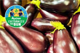 Savurează gustul verii cu fructe și legume gustoase românești, direct din filierele Auchan, acum în magazine (FOTO)