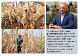 Senatorul Aurel Mohan (PSD) cere sprijin Guvernului pentru fermierii loviți de secetă
