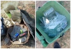 Ce intră în pubela verde și ce trebuie dus la Centrele cu Aport Voluntar?