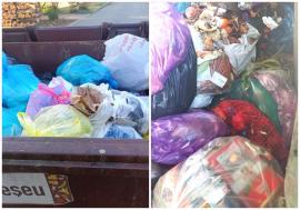 Colectarea separată la bloc: fiecare gest contează pentru întreaga comunitate