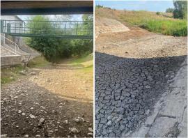 Bihorul însetat: Situație critică din cauza secetei, cu râuri secate, câmpuri pârjolite și rețele de alimentare cu apă golite (FOTO)