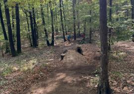 BikeFest „Valea Gepișului” 2026: două zile de mountain bike, cu probe de Enduro, E-Enduro și maraton