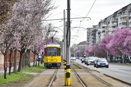OTL: Staţionări tramvaie în perioada 29 aprilie – 1 mai 2022
