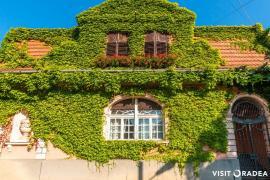 #CasaFrumoasă: Clădirea din Oradea care a devenit atracție pentru selfie-uri (FOTO)