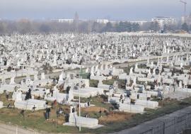 ADP Oradea angajează consilieri pentru Cimitirul Municipal