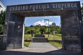 Sindromul Dealul Ciuperca