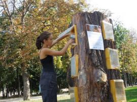 'Copacul cu cărţi', din arbori tăiaţi şi reciclaţi din şantierele oraşului: În parcurile 1 Decembrie şi Brătianu au fost amplasate mici biblioteci eco (FOTO / VIDEO)