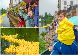 Cursa Rățuștelor, pe ploaie, la Oradea: 10.000 de rățuște au colorat Crișul Repede de Ziua Copilului (FOTO/VIDEO)