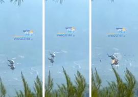Două elicoptere s-au ciocnit în aer în timpul unei misiuni de stingere a incendiilor din Grecia. Un pilot a murit (VIDEO)