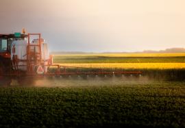 Dincolo de „mirosul de țară”: ce aduce fertilizarea organică în sol și în următoarea recoltă