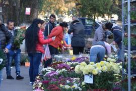 ADP Oradea: Licitaţie cu strigare pentru vânzarea florilor de Ziua Morţilor