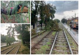 Furtunile au făcut ravagii în Bihor: Străzi inundate în Oradea, copaci căzuți inclusiv peste liniile de tramvai (FOTO/VIDEO)