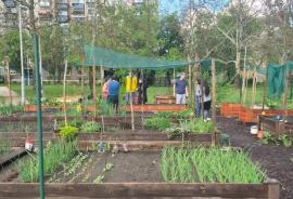 Zarzavaturi și legume printre blocuri: Primăria caută orădeni care vor grădini comunitare