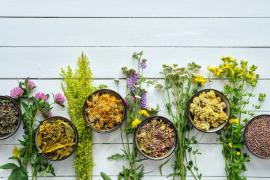 Fermierii bihoreni vor putea cere până la 100.000 de euro prin prima finanţare dedicată florilor, plantelor medicinale şi aromatice