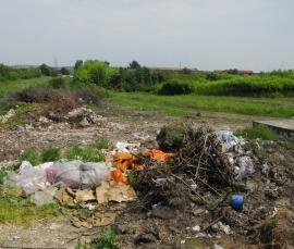 Lipsă acută de voluntari în proiectul de curăţenie generală "Let's Do It, Bihor"