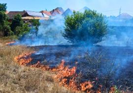 Incendiu de vegetație uscată în Bihor: Focul amenința să se extindă la casele din apropiere (FOTO)