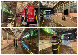 Incendiu în Oradea, la o hală de pe strada Războieni (FOTO)
