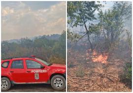 Trei incendii de pădure în Bihor: O casă și trei anexe au fost afectate de flăcări, la Corbești (FOTO/VIDEO)