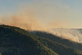 Încă un incendiu de pădure la Tărcăița: 26 de pompieri luptă cu focare multiple, iar vântul favorizează propagarea flăcărilor