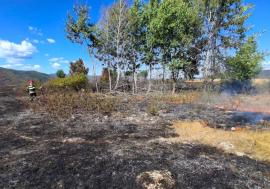 Incendii de vegetație în Bihor: Opt hectare au ars la Vașcău, iar la Borșa focul a amenințat o seră și o stupină (FOTO/VIDEO)