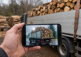Şmecherii cu lemne: În loc de imagini cu transporturile lor de bușteni, au transmis poze luate de pe internet