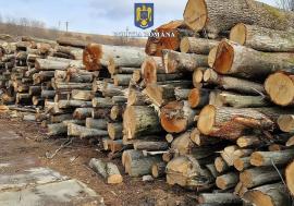 Aproape 35 de metri cubi de lemne, lipsă dintr-un depozit din Aștileu. Firma, amendată de polițiștii din Bihor