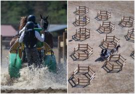 Trei femei, rănite la Campionatul European de atelaje din Oșorhei. O austriacă este în stare gravă