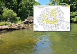 Cod galben de viituri în Bihor, pe Crișul Repede, Crișul Negru și Someșul Mic. De ce crește riscul după secetă