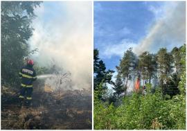 Bilanț de weekend: Incendiile de vegetație au afectat aproximativ 40 de hectare în Bihor (FOTO)