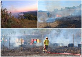 Incendiu în Bihor: 100 de pomi fructiferi și 60 de stupi au fost afectați de flăcări (FOTO/VIDEO)