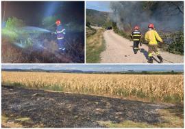 Val de incendii de vegetație în Bihor: 32 de focare, stinse în patru zile (FOTO)