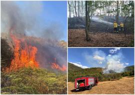 Peste 70 de hectare au ars în Bihor, în ultimele zile de vară. Stupi, o vie și bunuri distruse de flăcări (FOTO/VIDEO)