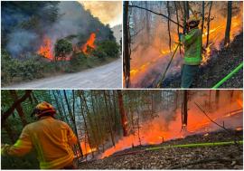 Incendiu puternic în pădurea din Corbești. Alte 23 de incendii au izbucnit în Bihor, în weekend (FOTO)