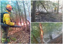Zeci de hectare, mistuite de incendii în Bihor. Pompierii au intervenit miercuri în zece localități