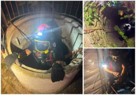 Salvare la adâncime în Bihor: Doi pui de pisică, scoși teferi dintr-o fântână secată