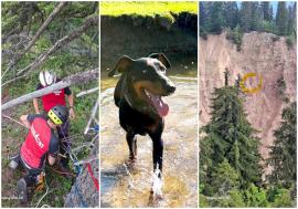 O cățelușă căzută în Groapa Ruginoasa a fost salvată de salvamontiștii bihoreni (FOTO)