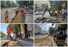 Primăria Oradea amenajează o pistă pentru biciclete de circa 400 de metri pe Bulevardul Dacia (FOTO)