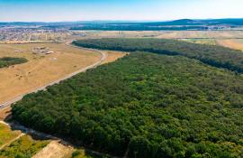 Pas înainte pentru mutarea Grădinii Zoologice din Oradea: „coridor de expropriere” pe aproape 10 hectare din pădurea de la Sânmartin. Ce presupune procedura