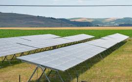 Fermierii și procesatorii bihoreni pot primi finanțări nerambursabile de 100% pentru parcuri fotovoltaice