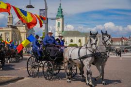 Paradă cu cai campioni, în centrul Oradiei. Evenimentul anunță Campionatul European de Atelaje de la Oșorhei