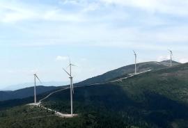 Compania de stat condusă de orădeanul Adrian Foghiș ține 600 de milioane de lei în bănci. Investiții energetice cu probleme, descoperite de Corpul de Control al premierului Bolojan